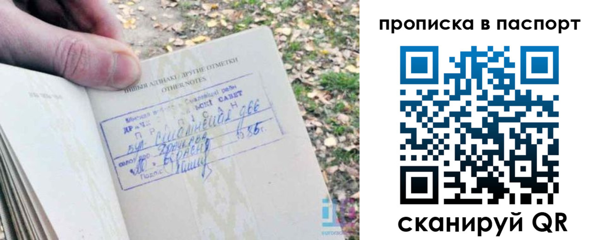 купить прописку в Котельниче
